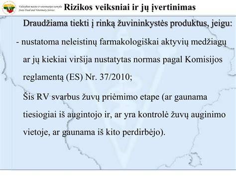 Infografika: rizikos ir galimybių įvertinimas vokų klijavimui namuose