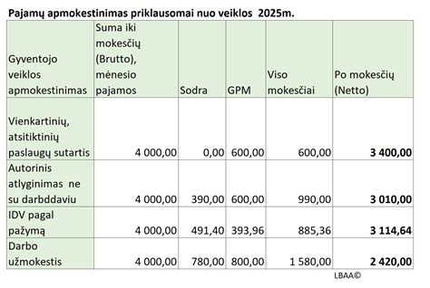Paslaugų apžvalga ir garantijų santrauka