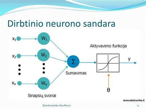 Dirbtinio neuroninio tinklo architektūros schema