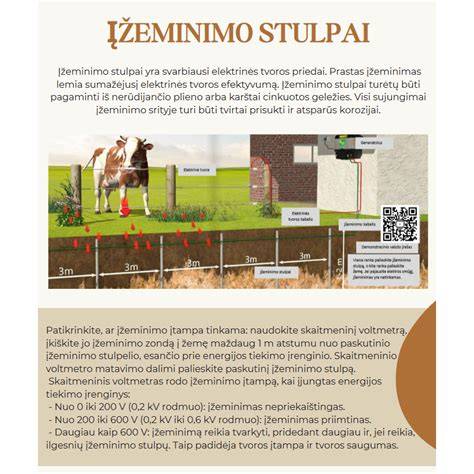 Infografika: betono mišinio sudedamosios dalys ir jų vaidmuo
