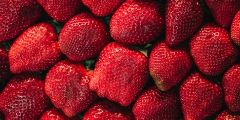 Gidas: pasirinkimo kriterijų lentelė