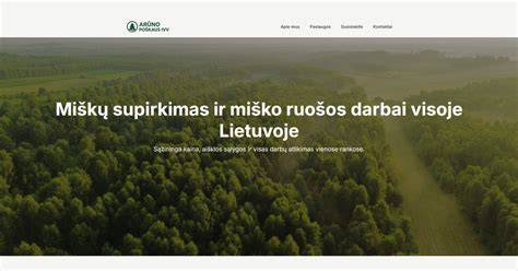 Infografika apie lentpjūvės procesą ir miško ruošos grandinę