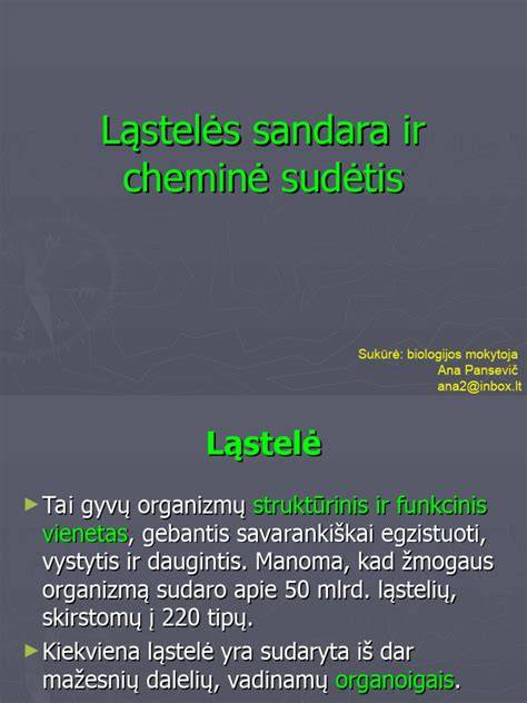 Infografika: dvitejinės sijos sandara ir matmenys