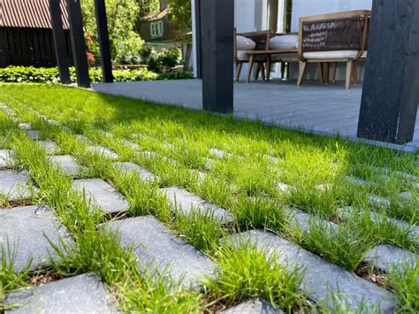 Eco Tercia drenuojančios plytelės su augalais