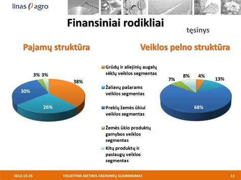 Infografika: įmonės struktūra ir finansiniai rodikliai
