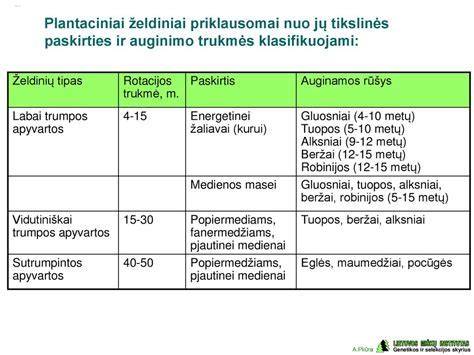 Infografika: Atsijų tipai ir jų paskirtis trinkelių klojime