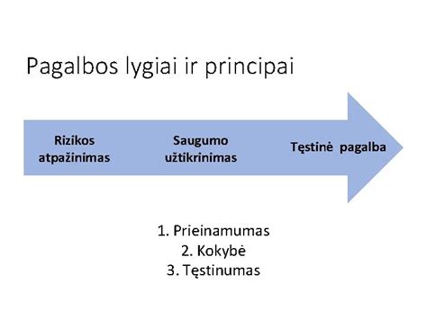 Infografika: AK serijos kopėčių konfigūracijos ir saugumo principai
