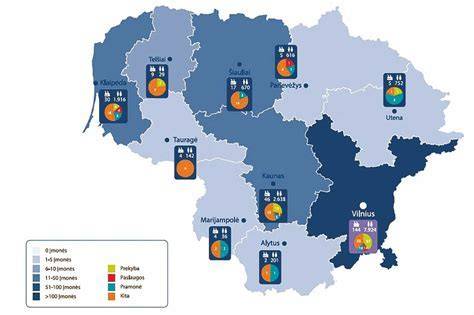 Infografika: įmonės adreso ir veiklos sritis