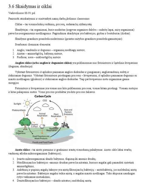 Infografika: Beasbestinio šiferio skaidymas, sudėtis, naudą ir montavimo etapų srautą