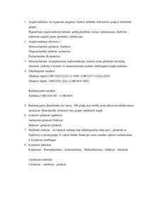 Infografika apie apkrovų laikymo lakštų įdiegimą ir jų skirstymą