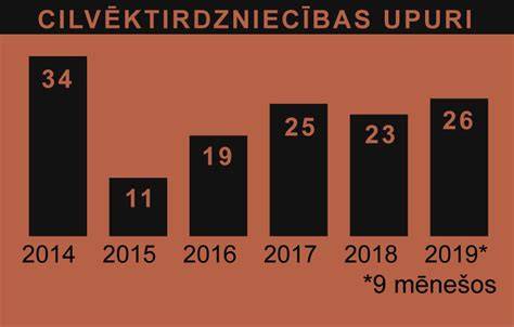 Infografika: Matmenys ir pasirinkimai