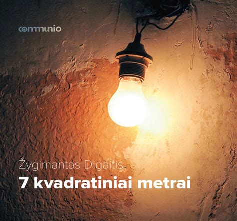 Infografika: skaičiavimo pavyzdys - kvadratiniai metrai, lentų tipai, kaina