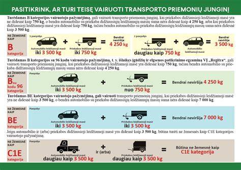 infografika-priemoniu-sudetis-pagrindiniai-kategorijos