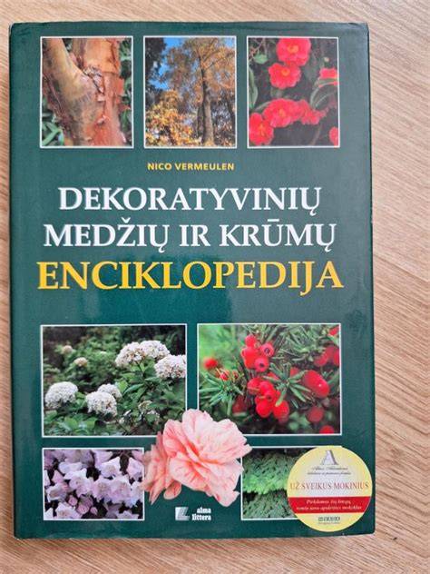 Beplėvelių dekoratyvinių dangų principas: elastingumas ir UV atsparumas