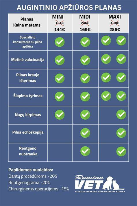 Profilaktikos planas prieš pelėsį