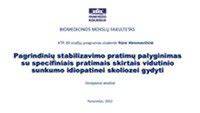 Pagrindinių izoliacijų kainų palyginimas
