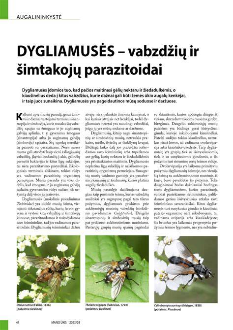 Vabzdžių likučių valiklių ir purkštukų schemos infografika