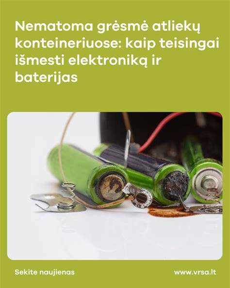 Infografika: kas sudaro medienos atliekų srautą ir kaip vyksta jų tvarkymas