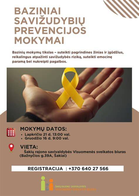 Pelėsių prevencijos vizualizacija