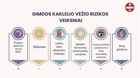 Infografika: gimdos kaklelio epiteliai ir jų jungtis