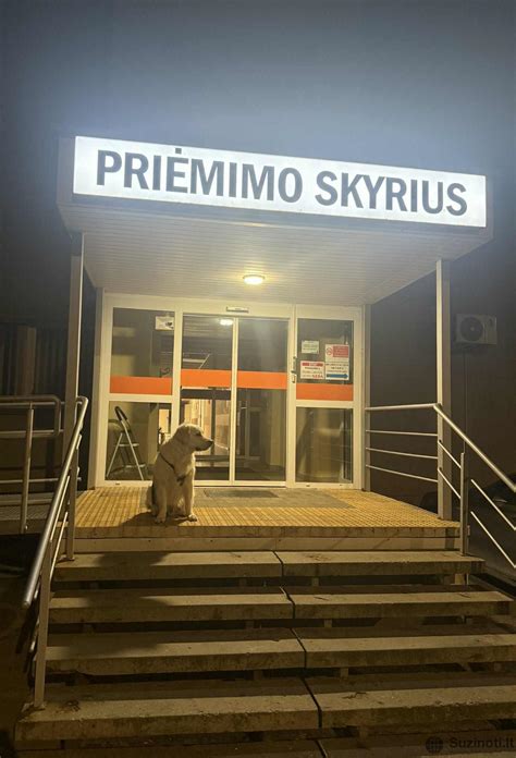 Nuotrauka iš vienos iš parduotuvių