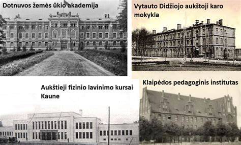 Infografika: Lietuvos grindų riedulio istorija ir pasiekimai