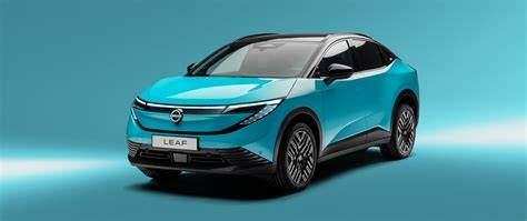 Nissan Leaf durų vibro izoliacijos išdėstymas (du montavimo variantai)