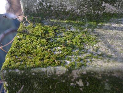 Paprastesnis apdorojimas plikų paviršių - sluoksnių logika
