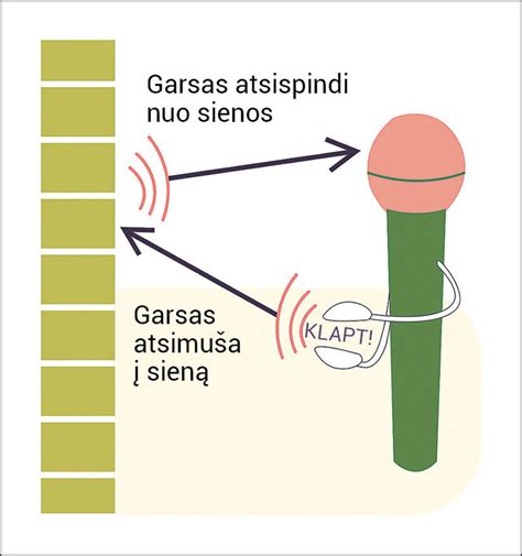 Garso sklidimas per sienas ir akustiniai tilteliai