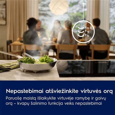 Kamino tipo palyginimas: mūrinis, plieninis, keraminis