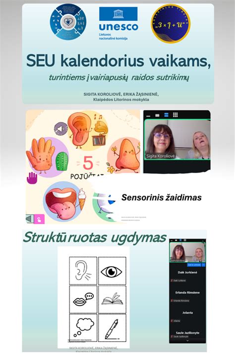 Pavyzdžių lentelė: valymo priemonės ir jų taikymo sritis