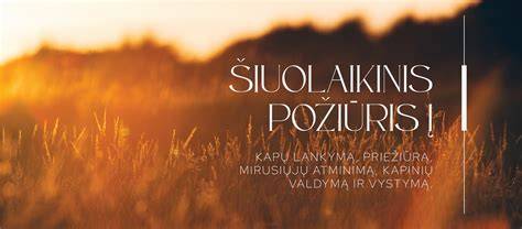sluoksniu_klojimo_prieziura.jpg