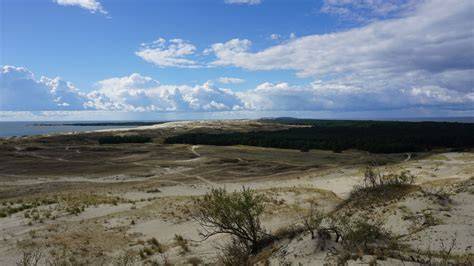 Kuršių nerijos kopų ir miško kraštovaizdžio panorama