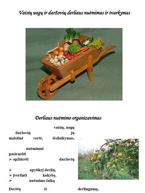 Infografinė schema: dekoratyvinio glaisto paruošimas ir taikymas