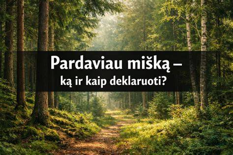 Infografika: GPM taikymas pardavus nenukirstą mišką ir apvaliąją medieną