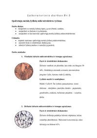 Juodųjų ir spalvotųjų metalų palyginimo schema: savybės, magnetizmas, korozija