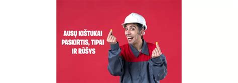 Infografika: Inkarinių varžtų rūšys ir paskirtis