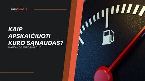 Infografika: kaip veikia kuro sąnaudos skaičiavimas ir kokie veiksniai jas įtakoja