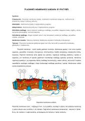 Schema: DELTA membranos sluoksnių sandara