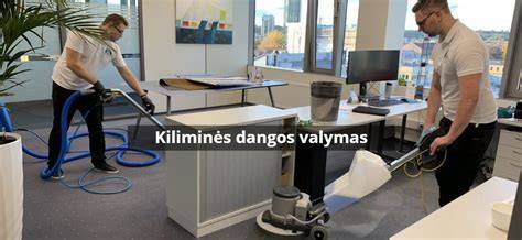 Infografika: cheminio kiliminės dangos valymo eiga