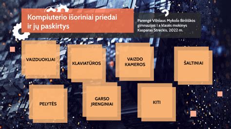 Infografika: paklotų tipai ir jų paskirtys