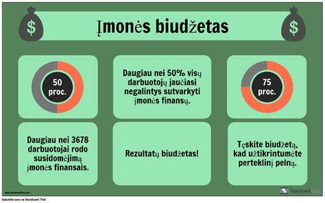 Biudžeto skaičiavimo pavyzdys