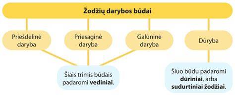 Infografika: pamatinio žodžio ir darybos formantų santykis