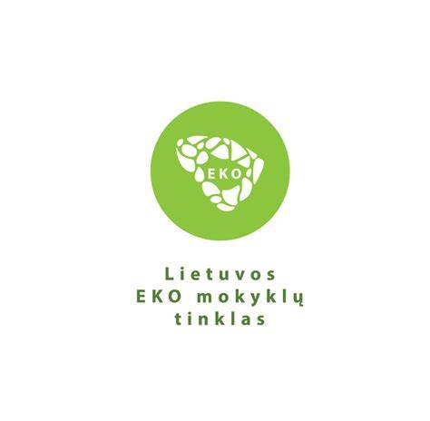 Infografika: Lietuvos vaikų futbolo mokyklų tinklas