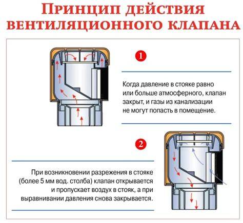 Infografika: Kopėčių tipai ir jų taikymo sritis
