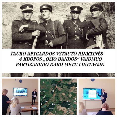 Grafikas: istorijos brandos etapas - nuo faneros iki OSB ir MDF
