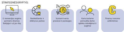 Infografika: VMG istorija, investicijos ir strateginės kryptys