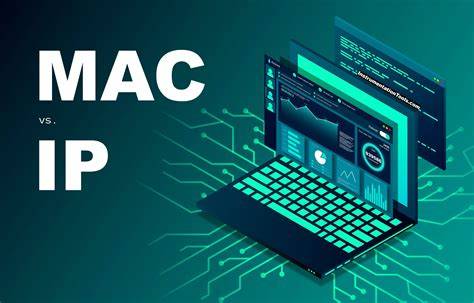 Infografika: NIC veikimo schema: fizinė terpė, rėmeliai, MAC adresas, IP sluoksnis
