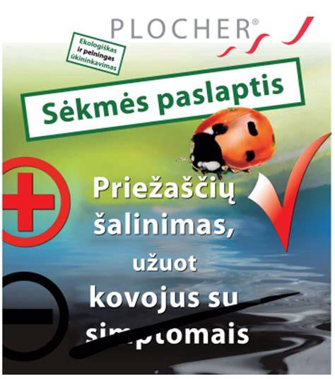 Infografika apie juodų įvažiavimo bordiūrų taikymo sritis