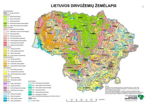 Žemėlapis - pagrindinės Lietuvos medienos eksporto kryptys 2024 m.